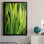 Blades of Grass II - peinture à cadre unique-1661991475-1661991477