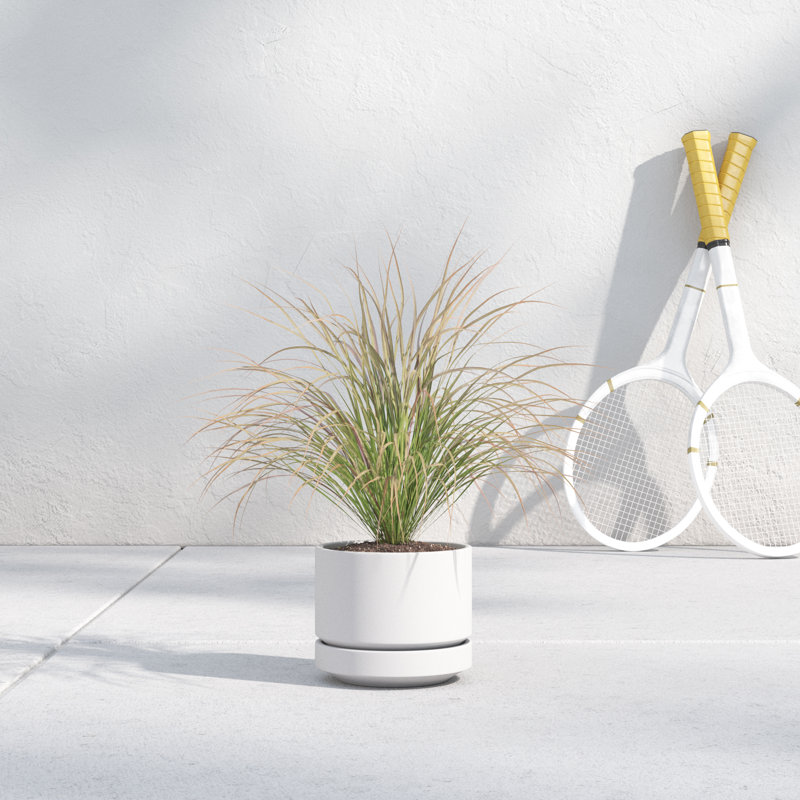 Byer Handmade Ceramic Pot Planter, White, 4.25" H x 5" W x 5" D