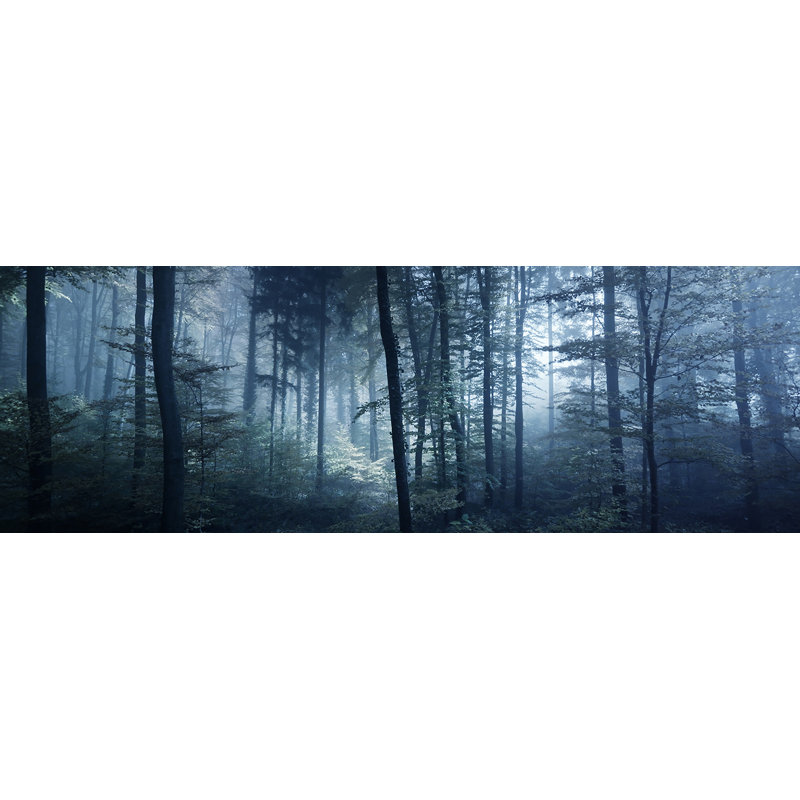 «Enchanted Misty Forest», art sur toile, H 10 po x l 30 po