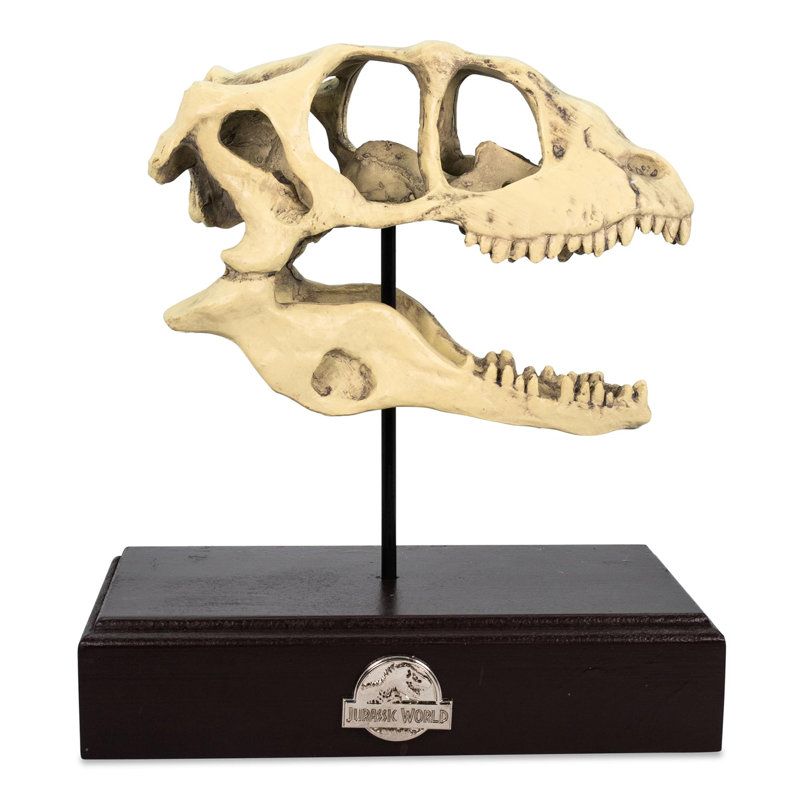 Reproduction de presse-papiers de crâne de Velociraptor de Jurassic World