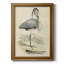Héron antique embelli IV (ASH) - Peinture sur toile encadrée-1836179038