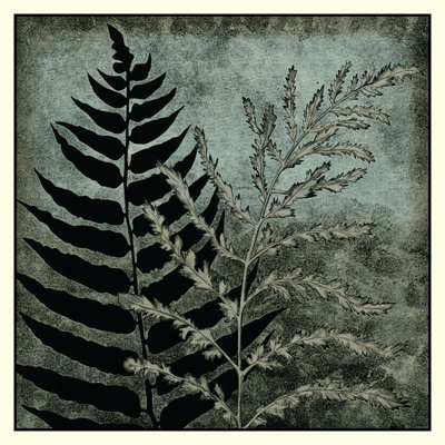 Illuminated Ferns III by Megan Meagher - Wrapped Canvas Painting