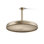 Rain Fixed Shower Head