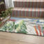 Powder Day Ski Hand-Tufted Recycled Polyester Indoor/Outdoor Accent Rug-743288375