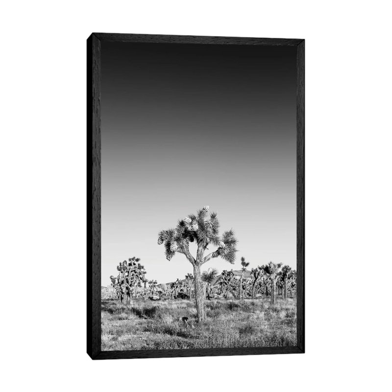 Joshua Trees Monochrome by Melanie Viola - Print on Canvas, 66.04cm H x 45.72cm W x 3.81cm D, Black Framed