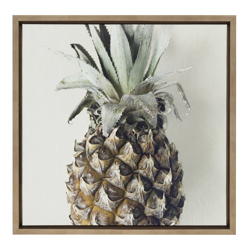 «Solo Pineapple» par Emiko et Mark Franzen, reproduction d'art sur toile encadrée, H 22 po x l 22 po