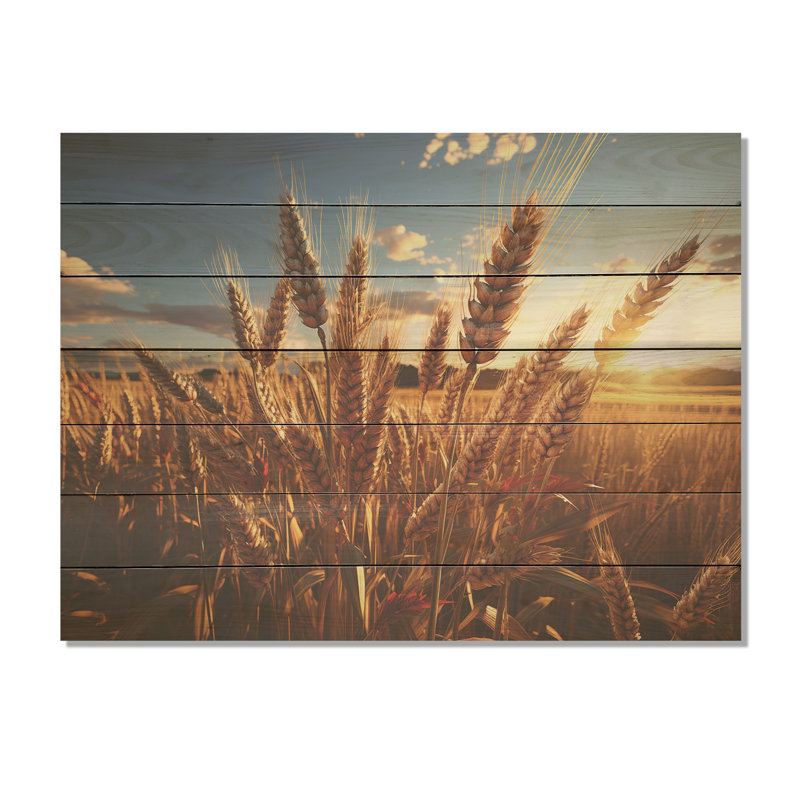 Golden Harvest Meadow Horizon III - prairie sur bois, H 10 po x l 20 po x P 0,78 po