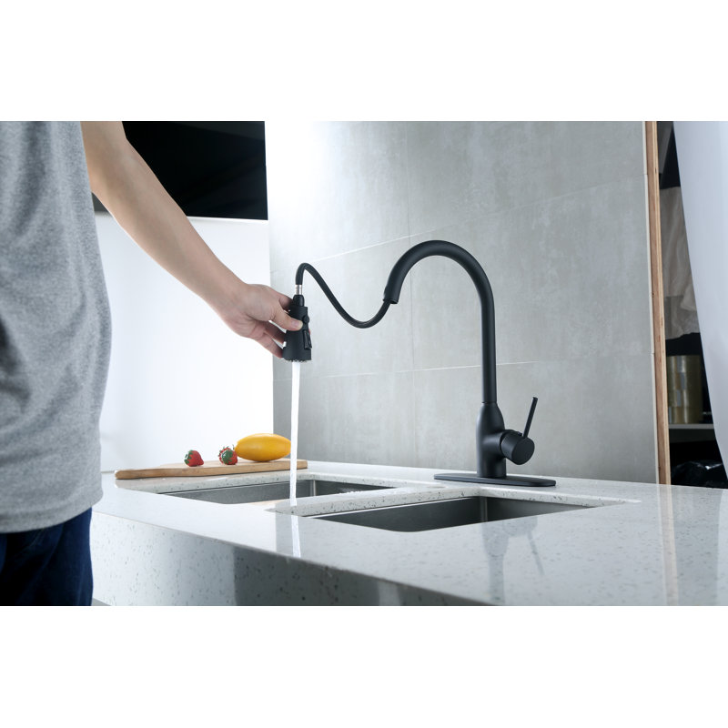 RunFine Group Pull Down Kitchen Faucet