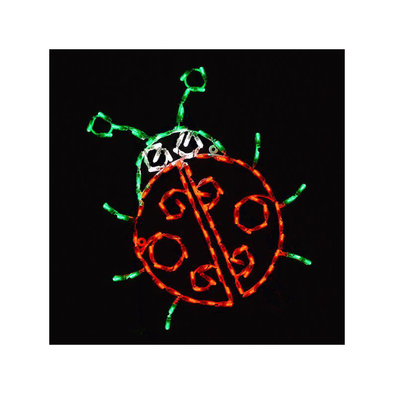 Coccinelle