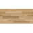 Hickory d'Amérique est en rupture de stock