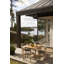 Koster Dining Chair