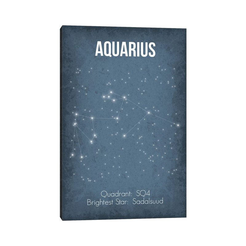 Aquarius by GetYourNerdOn - Wrapped Canvas Print, 20.32 cm H x 30.48 cm W