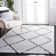 Prager Shag 500 Performance Geometric Rug