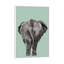 Art de bout éléphant-49839868-49839886