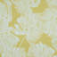 Del Coco Wallpaper-51857678