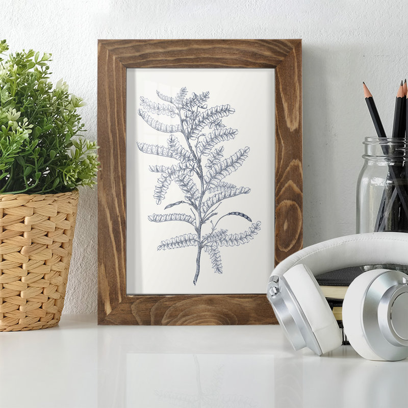Indigo Botany Study II - impression d'un seul cadre photo, H 8 po x l 6 po x P 1 po, Noyer