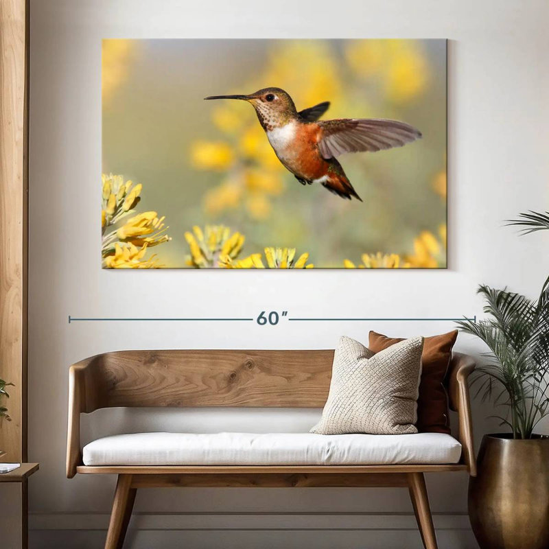 Colibri de Brampt Allen, H 34 po x l 51 po