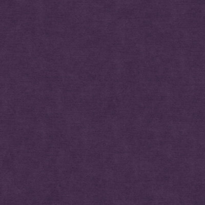 Venetian Fabric