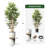 Artificial Tree in Black White Wood Tree Rings Pattern Planter Fake Bamboo Silk Tree-103684948