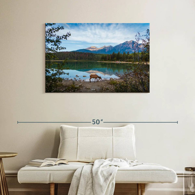 Orignal sauvage du parc Jasper, H 26 po x l 39 po