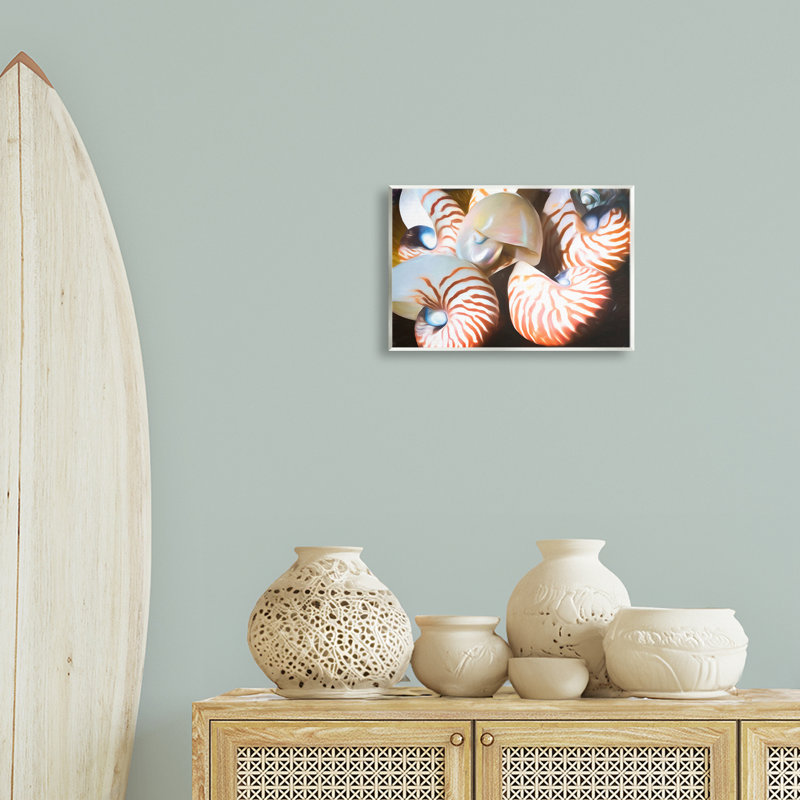 Nautilus, coquillages en grappe, art mural par Graffi *ee Studios, H 10 po x l 15 po