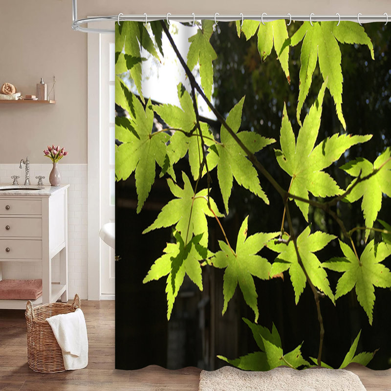 Rideau de douche avec 12 crochets, L 72 po x l 84 po