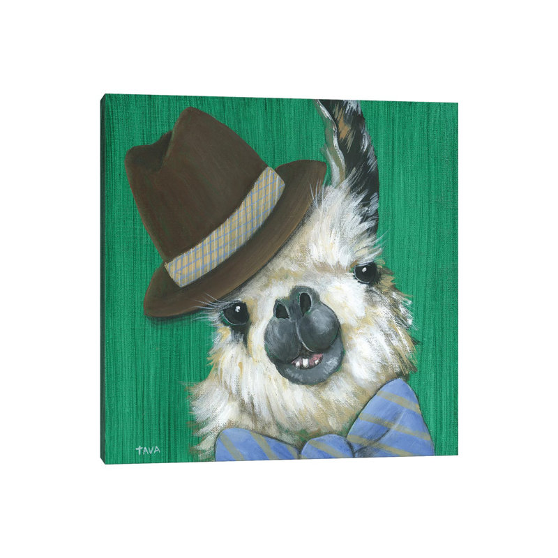 Llama Gentleman - reproduction d'art, Toile tendue, Non mat, H 48 po x l 48 po x 1,5 po