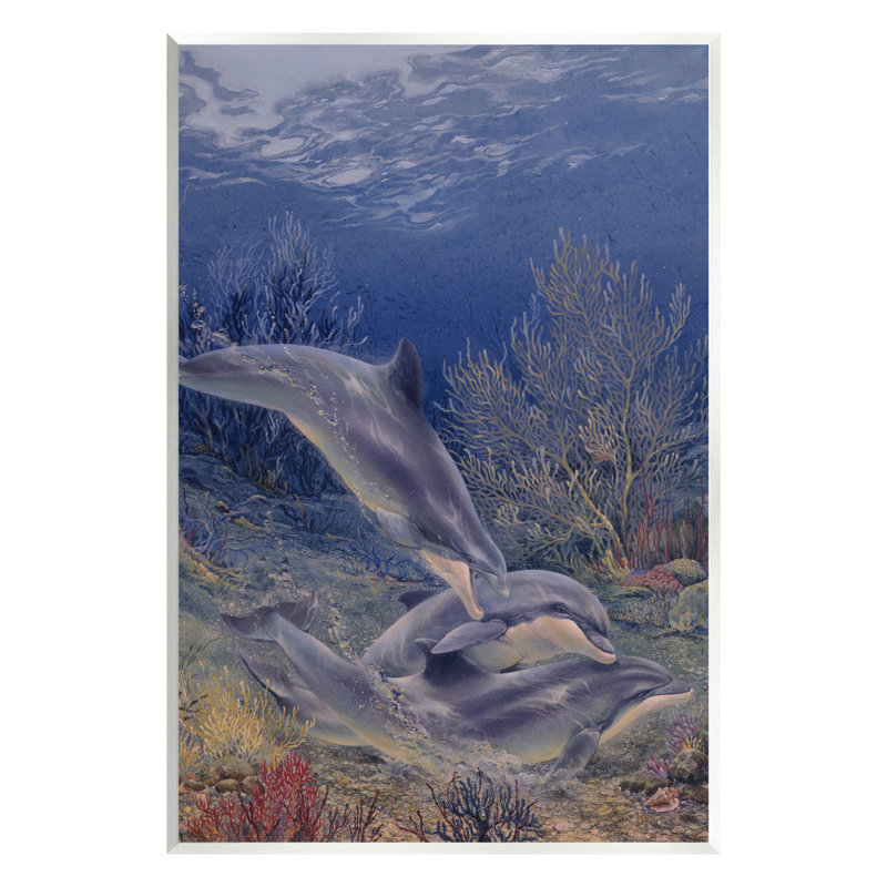 Au-508-Giclée, jeu de coquillages sous les dauphins, Giclée encadrée noir minuit, H 14 po x l 11 po x P 1,5 po