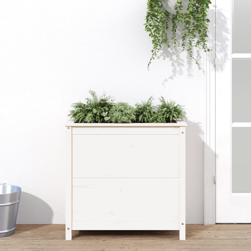 Blaguna Wood Pot Planter, Brown, 78cm H x 82.5cm W x 40cm D, Pine