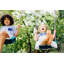 Plum Play Metal Double Swing Set