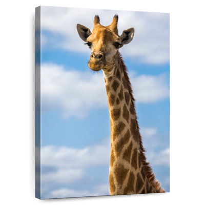 Jolie girafe Brampt