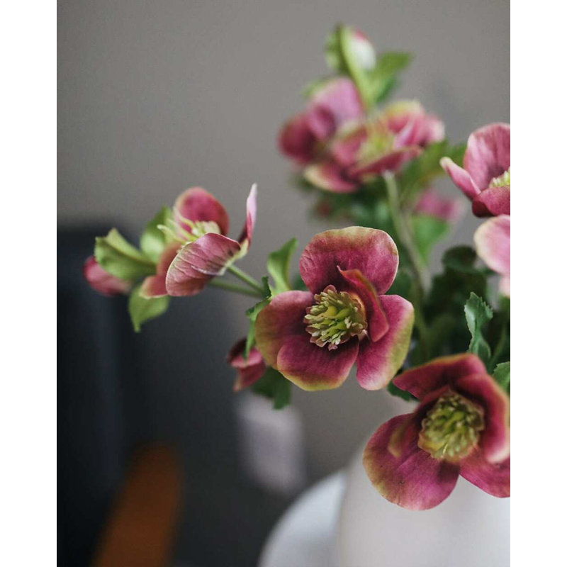 Real Touch Mauve rose Hellebore 18 po, Pink/Mauve