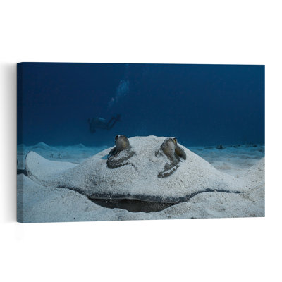 Stingray With Ocean Diver Peaceful Contemporary Stingray Fish Animal Ocean Wall Art Print