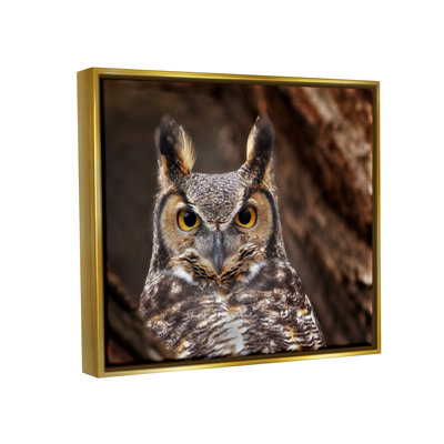 Au-898-Framed Horned Owl Nature Photography by Dennis Frates - Floater Frame Print on Canvas