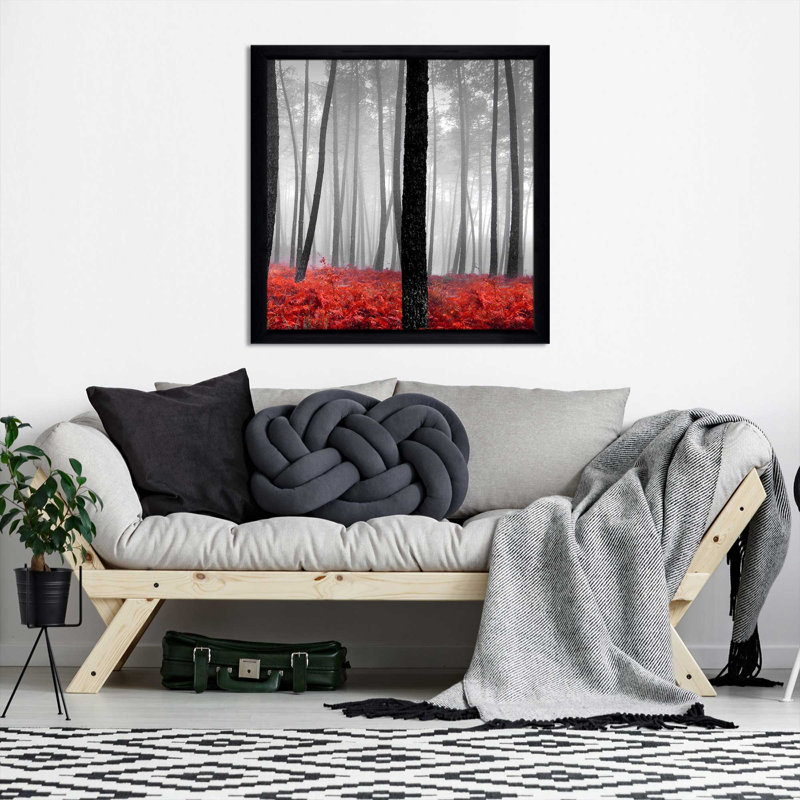 «Autumn Woods II» par Photoinc Studio - photographie, H 37,5 po x l 37,5 po x P 1 po, Cadre noir