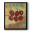 Toile encadrée de qualité supérieure Scotch Bonnet - prête à être accrochée-50538014-50538015
