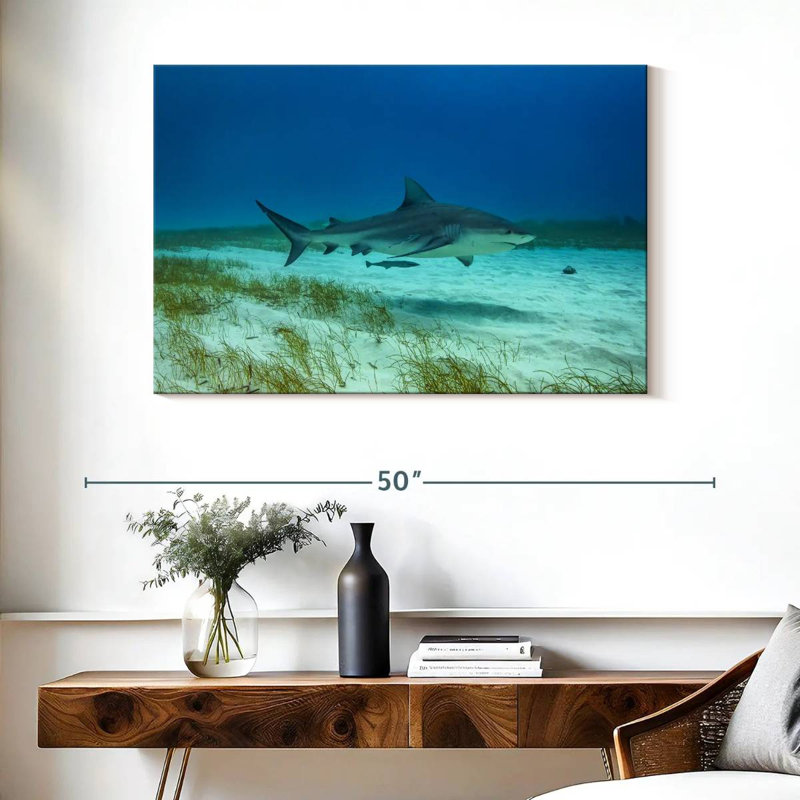 Brampt Bull Shark Habitat, 26" H x 39" W