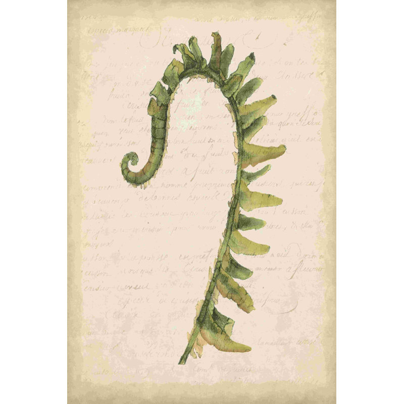 Petites fougères à tête de violon IV (U), H 18 po x l 12 po x P 1,25 po