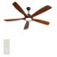 Ventilateur de plafond standard à 5 pales à DEL avec télécommande et ensemble d'éclairage pour le salon-131976224