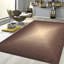 Ombre Area Rug
