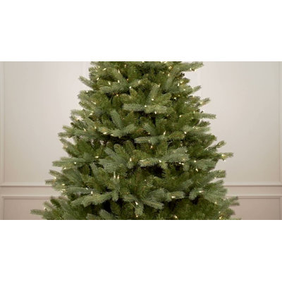 Lighted Christmas Tree