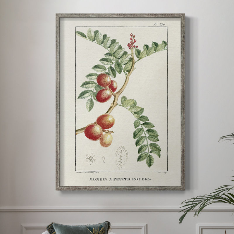 Reproduction encadrée Turpin Tropical Botanicals III - bois massif, H 30 po x l 24 po