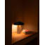 Stone Table Lamp