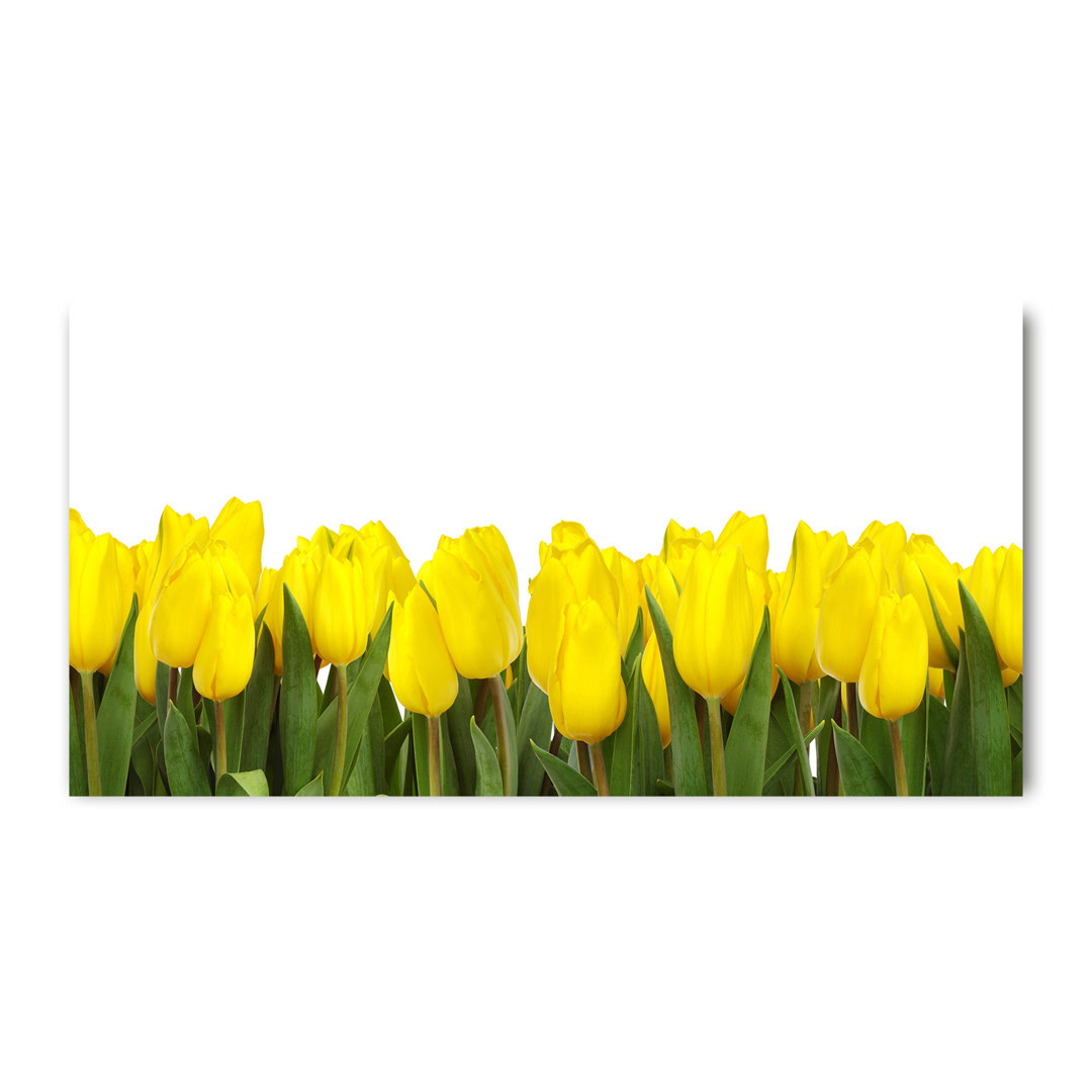 Glasbild Gelbe Tulpen