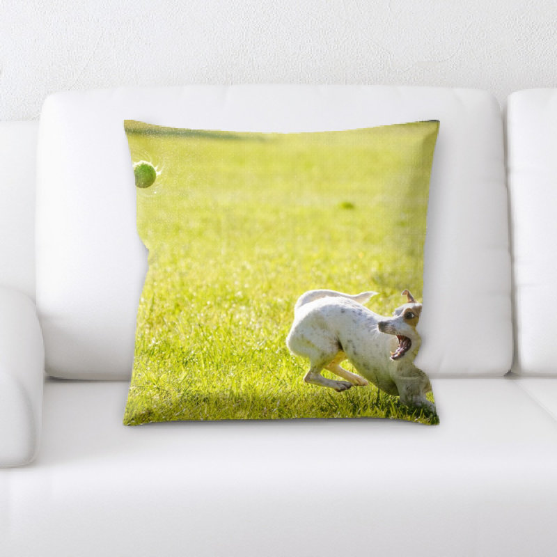 Coussin pour chien