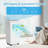 Zstar 8000 BTU Portable Air Conditioner