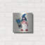 Art mural luxueux «American Gnome 6» par Yvette St. Amant-106413876