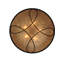 5 - Light Flush Mount