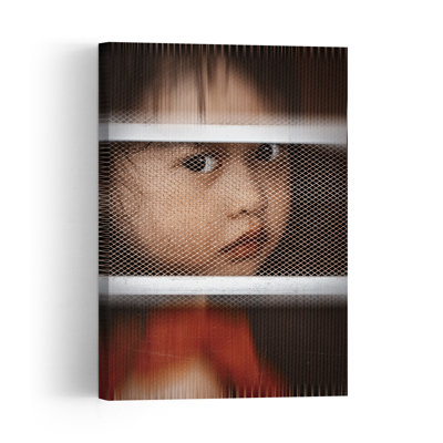 Child'S Gaze Through Mesh Abstract Contemporary Wall Art Print by Andi Halil - Print
