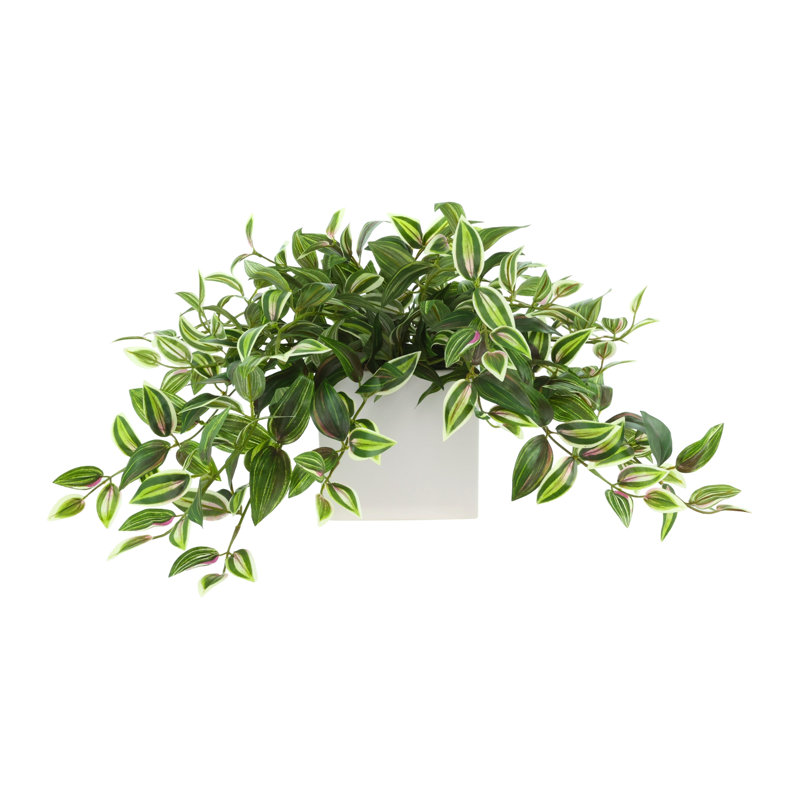Karas Faux Tradescantia plante dans un vase en céramique, Vert, H 14 po x l 26 po x P 17 po